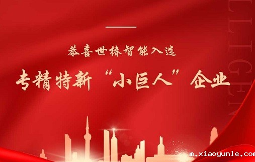 喜报！星空app登录入口官网成功入选国家工信部专精特新“小巨人”企业名单